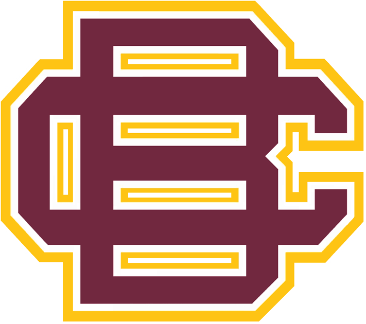 Bethune-Cookman Wildcats 2010-Pres Primary Logo diy iron on heat transfer